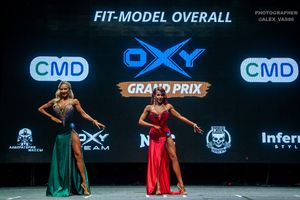 FIT-MODEL OVERALL